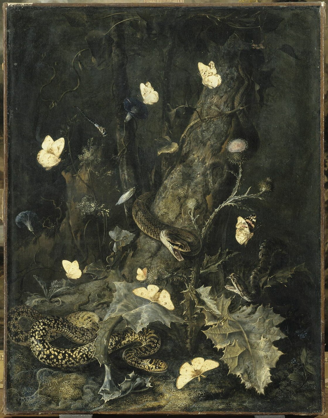 “Snakes and Butterflies” by Otto Marseus van Schrieck
